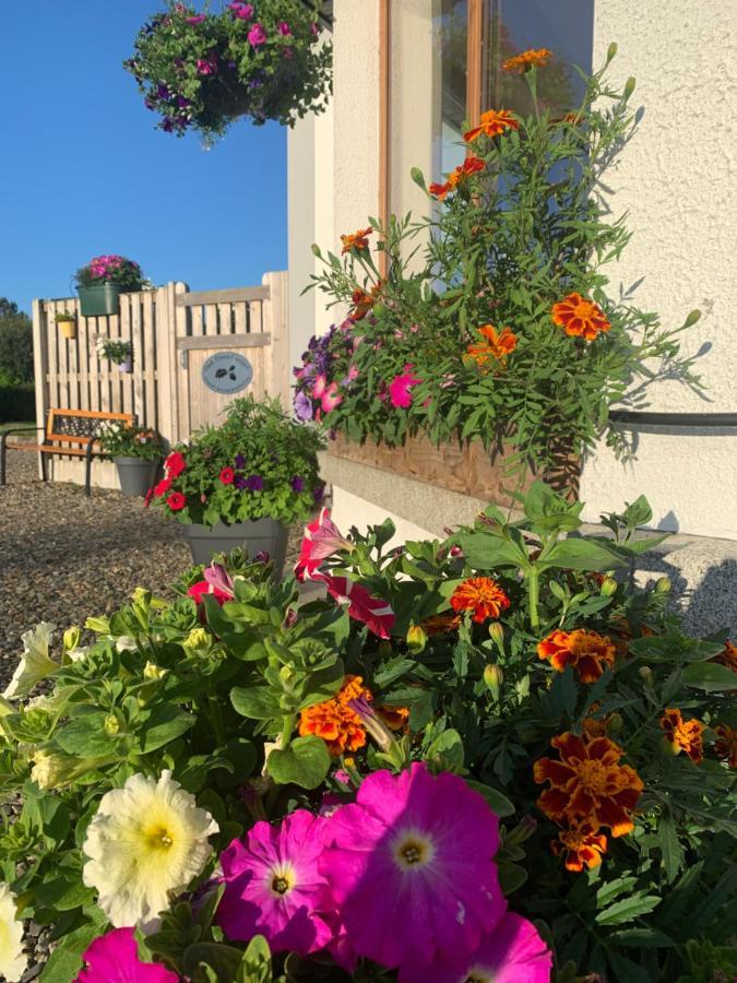 Oak Trees Corner Stylish , Relaxing , Getaway Apartment Wicklow Luaran gambar